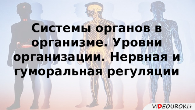 Системы органов в организме. Уровни организации. Нервная и гуморальная регуляции 