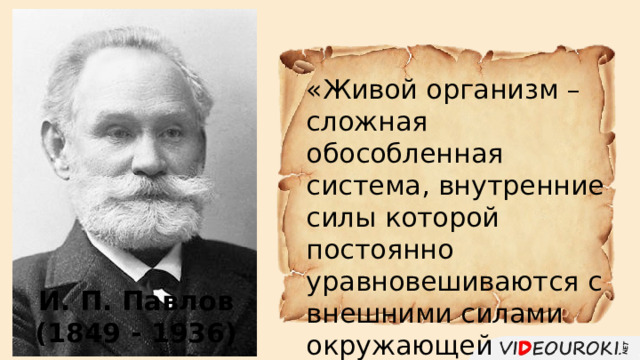 «Живой организм – сложная обособленная система, внутренние силы которой постоянно уравновешиваются с внешними силами окружающей среды». И. П. Павлов (1849 - 1936) 