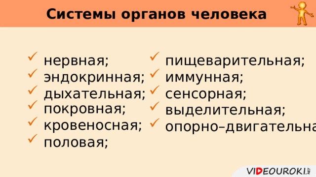 Системы органов человека      нервная;  эндокринная;  дыхательная;  пищеварительная;  иммунная;  сенсорная;  покровная;  кровеносная;  половая;  выделительная;  опорно–двигательная. 