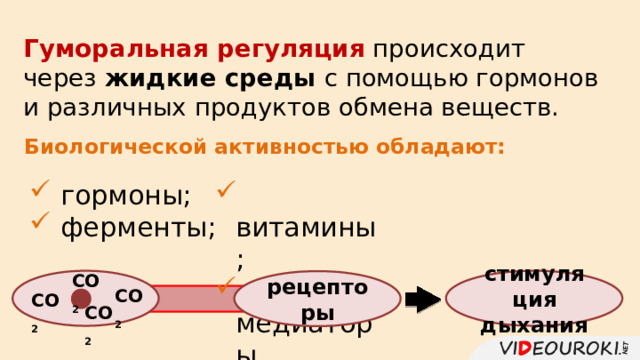 Гуморальная регуляция происходит через жидкие среды с помощью гормонов и различных продуктов обмена веществ. Биологической активностью обладают:  гормоны;  ферменты;  витамины;  медиаторы. СО 2  стимуляция дыхания рецепторы СО 2 СО 2 СО 2 