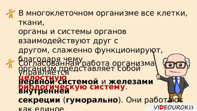 В многоклеточном организме все клетки, ткани, органы и системы органов взаимодействуют друг с другом, слаженно функционируют, благодаря чему организм представляет собой целостную биологическую систему . Согласованная работа организма управляется нервной системой  и железами внутренней секреции  ( гуморально ). Они работают как единое целое, образуя нейрогуморальную регуляторную систему . 