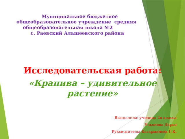  Муниципальное бюджетное общеобразовательное учреждение средняя общеобразовательная школа №2  с. Раевский Альшеевского района Исследовательская работа: «Крапива – удивительное растение»   Выполнила: ученица 2в класса  Ульянова Дарья Руководитель: Кагарманова Г.К. 