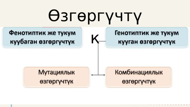 2024 Өзгөргүчтүк 