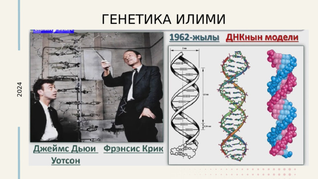 2024 ГЕНЕТИКА ИЛИМИ 