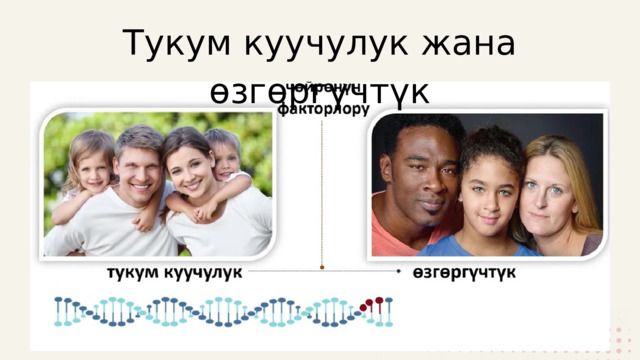 Тукум куучулук жана өзгөргүчтүк 