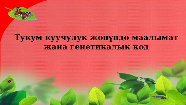 Тукум куучулук жөнүндө маалымат жана генетикалык код 