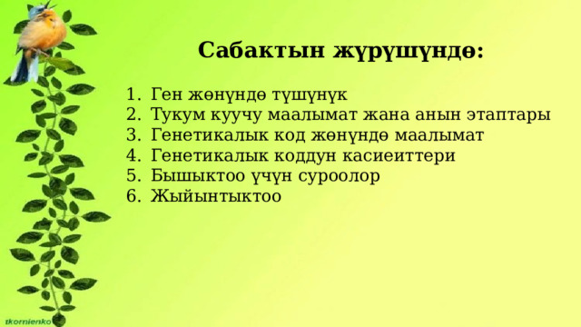 Сабактын жүрүшүндө: Ген жөнүндө түшүнүк Тукум куучу маалымат жана анын этаптары Генетикалык код жөнүндө маалымат Генетикалык коддун касиеиттери Бышыктоо үчүн суроолор Жыйынтыктоо 