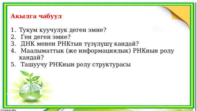 Акылга чабуул Тукум куучулук деген эмне?  Ген деген эмне?  ДНК менен РНКтын түзүлүшү кандай?  Маалыматтык (же информациялык) РНКнын ролу кандай?  Ташуучу РНКнын ролу структурасы 