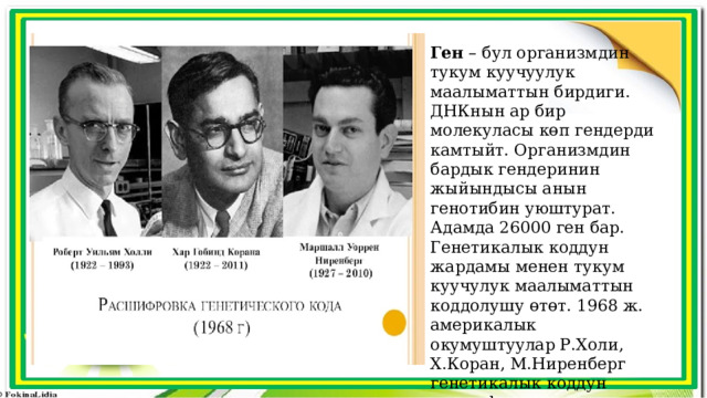 Ген – бул организмдин тукум куучуулук маалыматтын бирдиги. ДНКнын ар бир молекуласы көп гендерди камтыйт. Организмдин бардык гендеринин жыйындысы анын генотибин уюштурат. Адамда 26000 ген бар. Генетикалык коддун жардамы менен тукум куучулук маалыматтын коддолушу өтөт. 1968 ж. америкалык окумуштуулар Р.Холи, Х.Коран, М.Ниренберг генетикалык коддун расшифровкасын аныкташкан. 