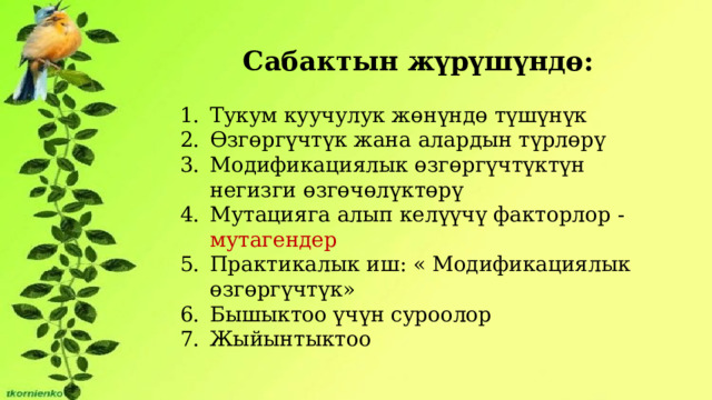 Гимнастика жарыстарындағы эротикалық оқиғалар