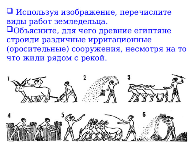  Используя изображение, перечислите виды работ земледельца. Объясните, для чего древние египтяне строили различные ирригационные (оросительные) сооружения, несмотря на то что жили рядом с рекой.  