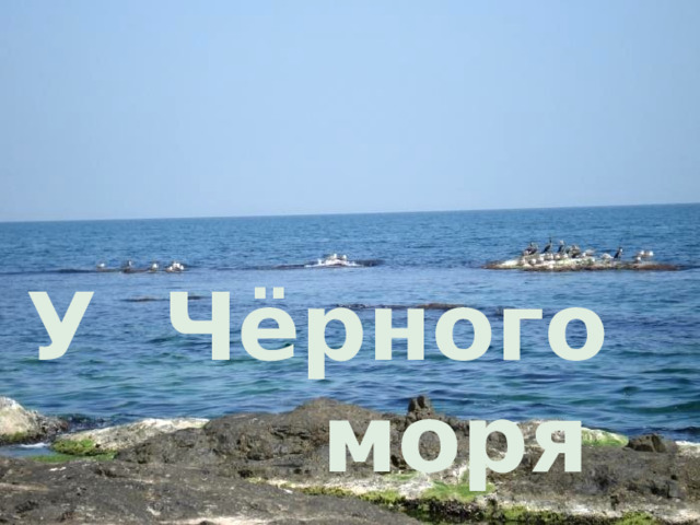 У Чёрного       моря 