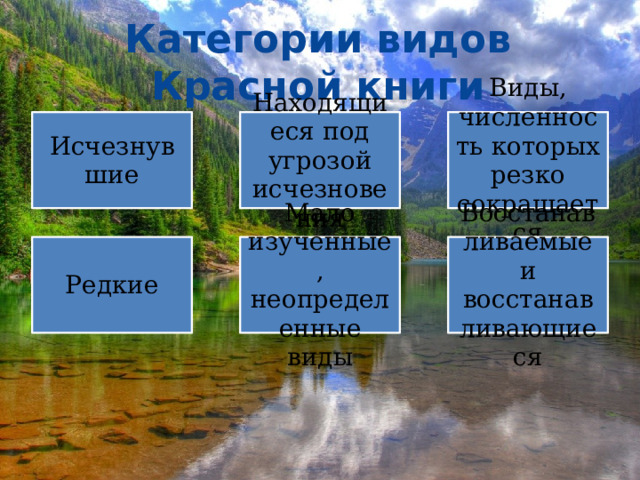 Категории видов Красной книги Исчезнувшие Находящиеся под угрозой исчезновения Виды, численность которых резко сокращается Редкие Мало изученные, неопределенные виды Восстанавливаемые и восстанавливающиеся 