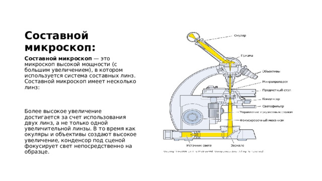 Составной микроскоп: Составной микроскоп — это микроскоп высокой мощности (с большим увеличением), в котором используется система составных линз. Составной микроскоп имеет несколько линз:  Более высокое увеличение достигается за счет использования двух линз, а не только одной увеличительной линзы. В то время как окуляры и объективы создают высокое увеличение, конденсор под сценой фокусирует свет непосредственно на образце. 