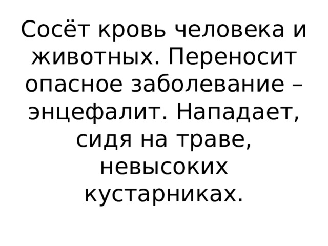 Сосёт кровь человека и животных. Переносит опасное заболевание – энцефалит. Нападает, сидя на траве, невысоких кустарниках.