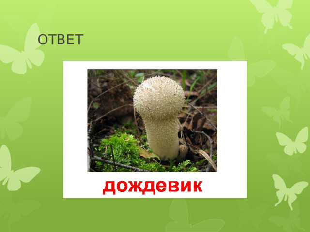 ОТВЕТ