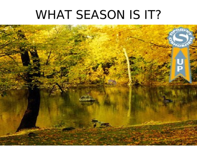 WHAT SEASON IS IT? 