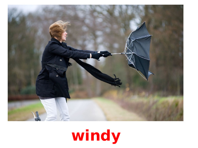 windy 