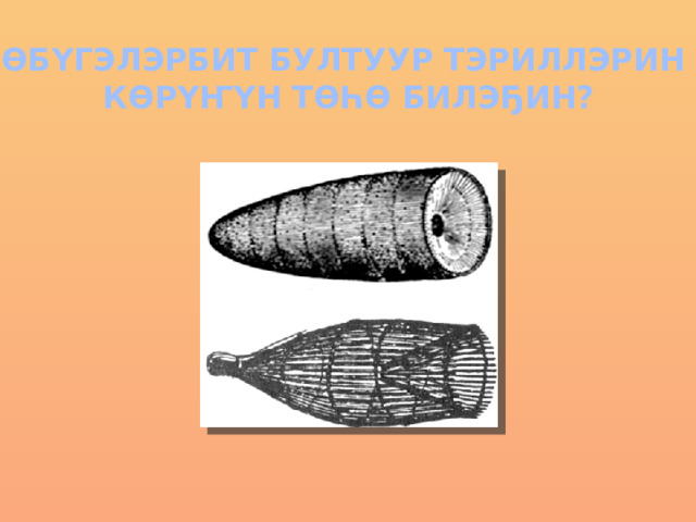 ӨБҮГЭЛЭРБИТ БУЛТУУР ТЭРИЛЛЭРИН КӨРҮҤҮН ТӨҺӨ БИЛЭҔИН? 