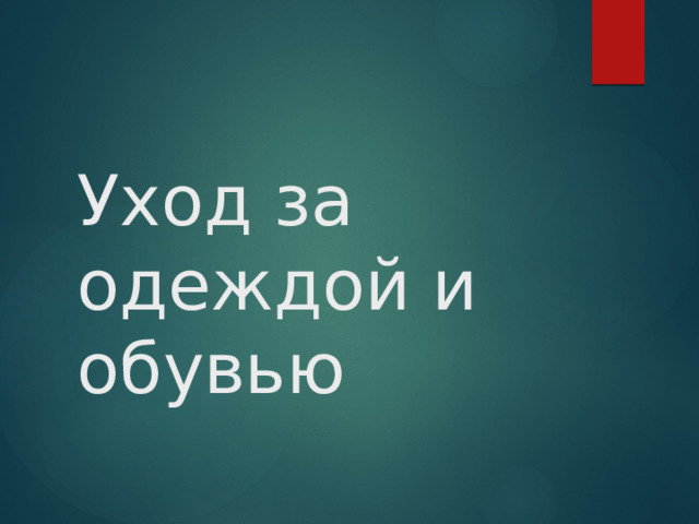 Уход за одеждой и обувью 