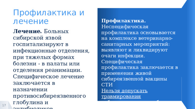 Профилактика и лечение Профилактика. Неспецифическая профилактика основывается на комплексе ветеринарно-санитарных мероприятий: выявляют и ликвидируют очаги инфекции. Специфическая профилактика заключается в применении живой сибиреязвенной вакцины СТИ Нельзя допускать травмирования сибиреязвенного карбункула, поэтому взятие материала для исследования, перевязки должны проводиться с максимальной осторожностью. Лечение. Больных сибирской язвой госпитализируют в инфекционные отделения, при тяжелых формах болезни - в палаты или отделения реанимации. Специфическое лечение заключается в назначении противосибиреязвенного глобулина и антибиотиков. 1 