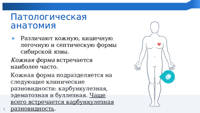 Патологическая анатомия Различают кожную, кишечную, легочную и септическую формы сибирской язвы. Кожная форма  встречается наиболее часто.  Кожная форма подразделяется на следующие клинические разновидности: карбункулезная, эдематозная и буллезная.  Чаще всего встречается карбункулезная разновидность . 1 