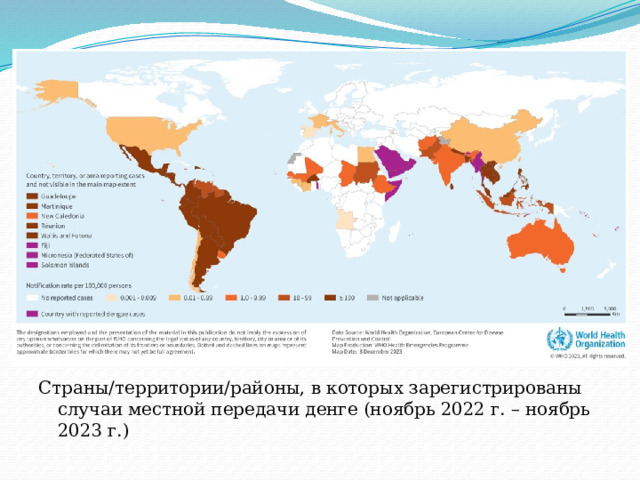 Страны/территории/районы, в которых зарегистрированы случаи местной передачи денге (ноябрь 2022 г. – ноябрь 2023 г.) 