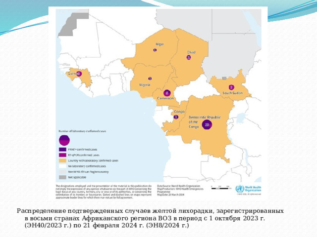 Распределение подтвержденных случаев желтой лихорадки, зарегистрированных в восьми странах Африканского региона ВОЗ в период с 1 октября 2023 г. (ЭН40/2023 г.) по 21 февраля 2024 г. (ЭН8/2024 г.)  