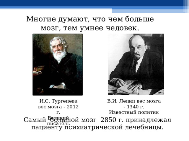 Многие думают, что чем больше мозг, тем умнее человек. И.С. Тургенева вес мозга - 2012 г. Великий писатель В.И. Ленин вес мозга - 1340 г. Известный политик Самый большой мозг 2850 г. принадлежал пациенту психиатрической лечебницы. 