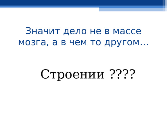 Значит дело не в массе мозга, а в чем то другом… Строении ???? 