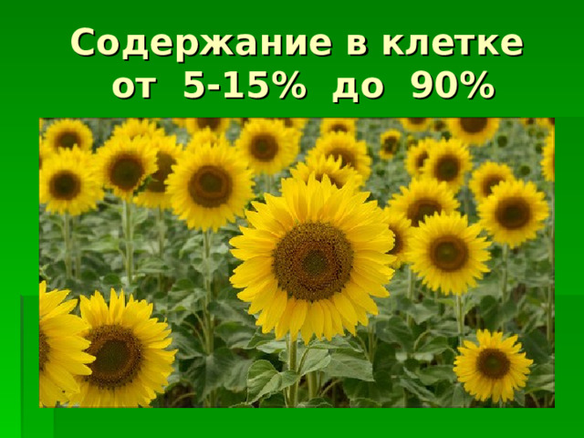 Содержание в клетке  от 5-15% до 90% 