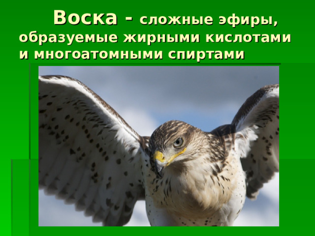  Воска - сложные эфиры, образуемые жирными кислотами и многоатомными спиртами 