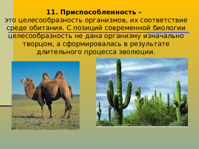 11. Приспособленность - это целесообразность организмов, их соответствие среде обитания. С позиций современной биологии целесообразность не дана организму изначально творцом, а сформировалась в результате длительного процесса эволюции. 