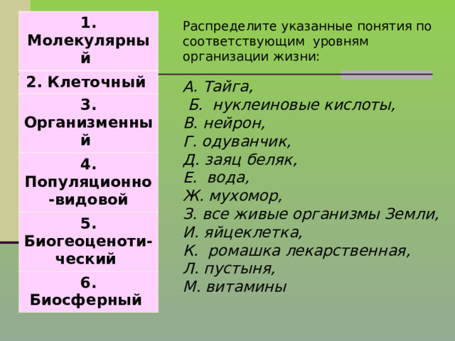 1. Молекулярный  2. Клеточный 3. Организменный 4. Популяционно-видовой 5. Биогеоценоти- ческий 6. Биосферный Распределите указанные понятия по соответствующим уровням организации жизни: А. Тайга,  Б. нуклеиновые кислоты, В. нейрон, Г. одуванчик, Д. заяц беляк, Е. вода, Ж. мухомор, З. все живые организмы Земли, И. яйцеклетка, К. ромашка лекарственная, Л. пустыня, М. витамины 