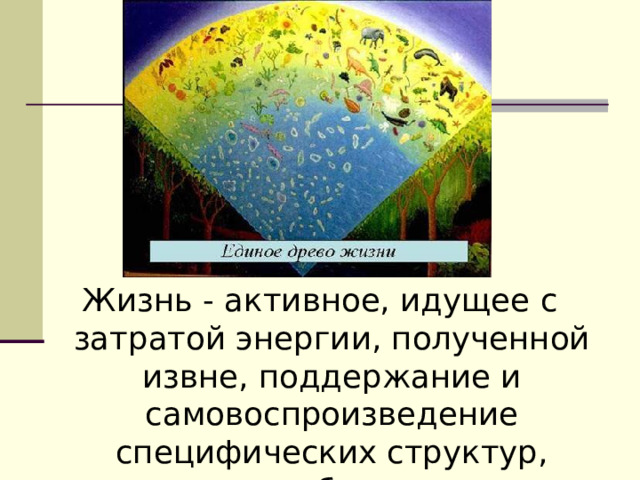 Жизнь - активное, идущее с затратой энергии, полученной извне, поддержание и самовоспроизведение специфических структур, состоящих из биополимеров – белков и нуклеиновых кислот. 