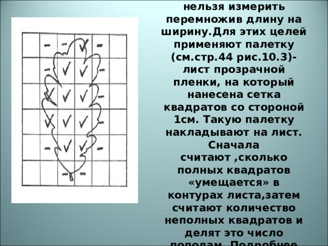 Площадь такой неправильной фигуры,как лист, нельзя измерить перемножив длину на ширину.Для этих целей применяют палетку (см.стр.44 рис.10.3)-лист прозрачной пленки, на который нанесена сетка квадратов со стороной 1см. Такую палетку накладывают на лист. Сначала считают ,сколько полных квадратов «умещается» в контурах листа,затем считают количество неполных квадратов и делят это число пополам. Подробнее прочитай на стр.44 