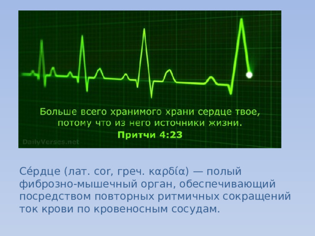 Се́рдце (лат. cor, греч. καρδία) — полый фиброзно-мышечный орган, обеспечивающий посредством повторных ритмичных сокращений ток крови по кровеносным сосудам. 