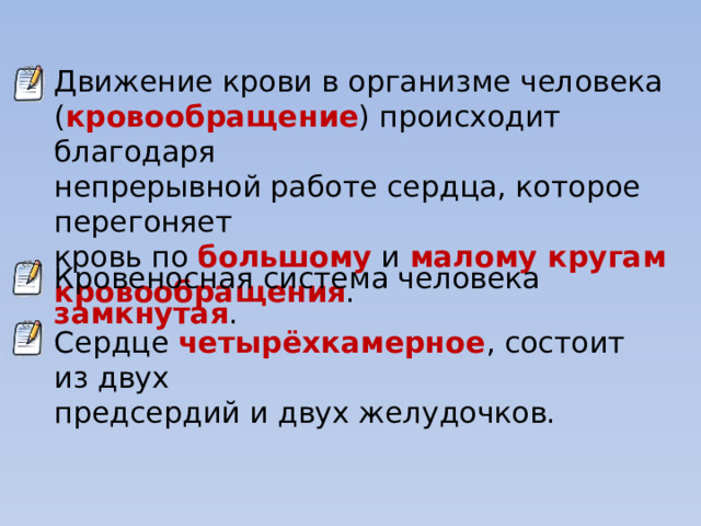 Движение крови в организме человека ( кровообращение ) происходит благодаря непрерывной работе сердца, которое перегоняет кровь по большому и малому кругам кровообращения . Кровеносная система человека замкнутая . Сердце четырёхкамерное , состоит из двух предсердий и двух желудочков. 