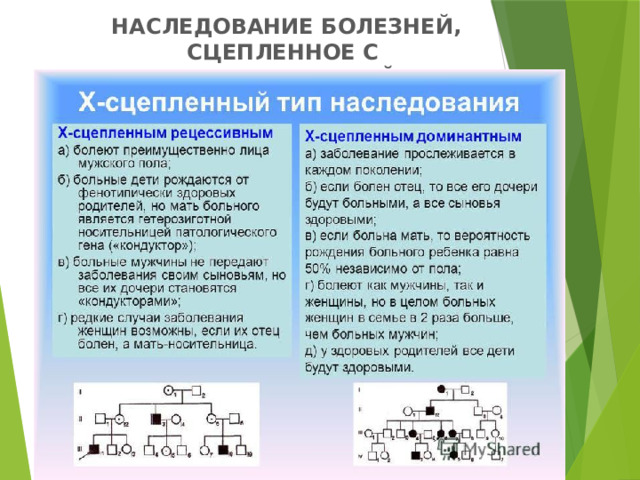 НАСЛЕДОВАНИЕ БОЛЕЗНЕЙ, СЦЕПЛЕННОЕ С  Х – ХРОМОСОМОЙ   