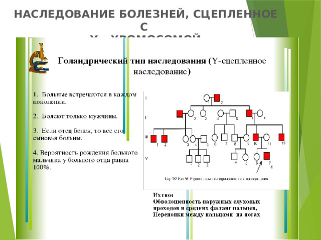 НАСЛЕДОВАНИЕ БОЛЕЗНЕЙ, СЦЕПЛЕННОЕ С  Y – ХРОМОСОМОЙ   