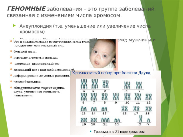 ГЕНОМНЫЕ заболевания – это группа заболеваний, связанная с изменением числа хромосом. Анеуплоидия (т.е. уменьшение или увеличение числа хромосом) Синдром Дауна (трисомия по 21 хромосоме; мужчины и женщины). 