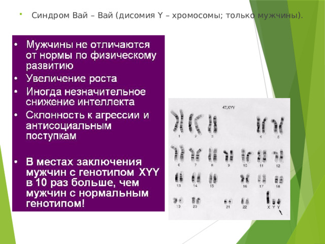 Синдром Вай – Вай (дисомия Y – хромосомы; только мужчины). 