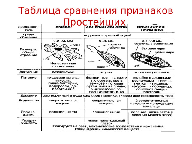 Таблица сравнения признаков Простейших 