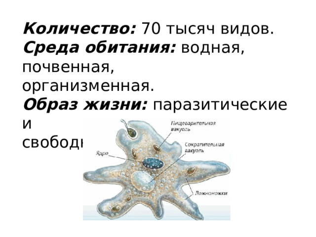 Количество: 70 тысяч видов. Среда обитания: водная, почвенная, организменная. Образ жизни: паразитические и свободноживущие 