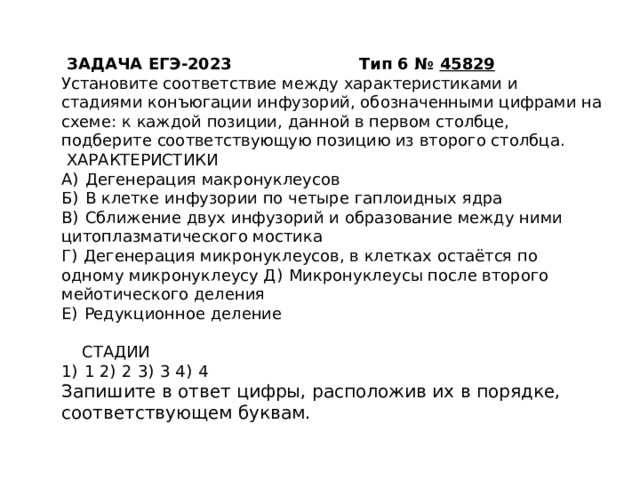  ЗАДАЧА ЕГЭ-2023 Тип 6 №  45829    Установите соответствие между характеристиками и стадиями конъюгации инфузорий, обозначенными цифрами на схеме: к каждой позиции, данной в первом столбце, подберите соответствующую позицию из второго столбца.  ХАРАКТЕРИСТИКИ  А)  Дегенерация макронуклеусов  Б)  В клетке инфузории по четыре гаплоидных ядра  В)  Сближение двух инфузорий и образование между ними цитоплазматического мостика  Г)  Дегенерация микронуклеусов, в клетках остаётся по одному микронуклеусу Д)  Микронуклеусы после второго мейотического деления  Е)  Редукционное деление   СТАДИИ  1)  1 2)  2 3)  3 4)  4  Запишите в ответ цифры, расположив их в порядке, соответствующем буквам. 