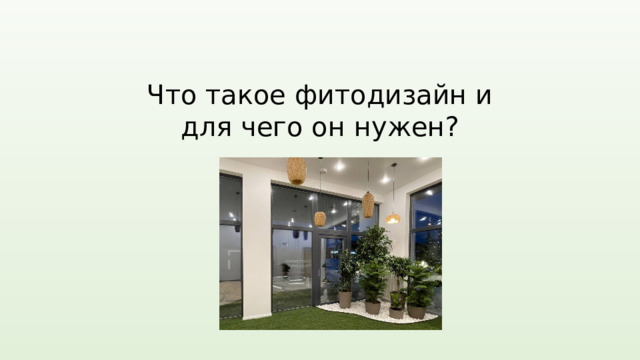 Что такое фитодизайн и для чего он нужен? 