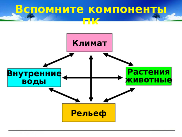 Вспомните компоненты ПК  Что такое рельеф?  Чем отличаются формы рельефа?  Какие формы рельефа по высоте Вам известны?  Почему изучение природы России начинается с изучения рельефа?  Почему рельеф называют «каркасом» природы?  По какой карте изучают рельеф? Климат Растения животные Внутренние воды Рельеф 