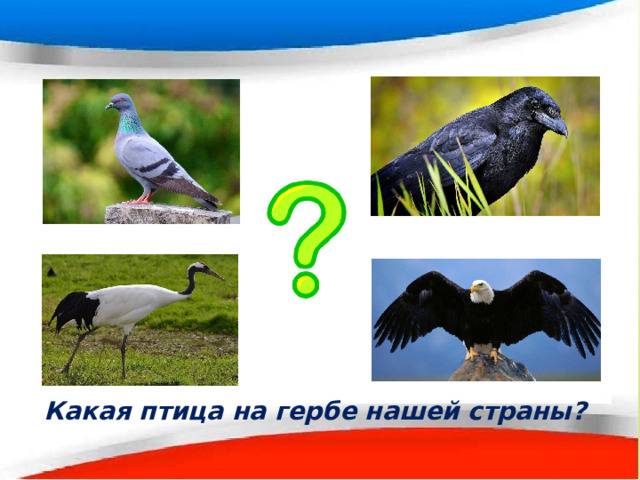 Какая птица на гербе нашей страны? 