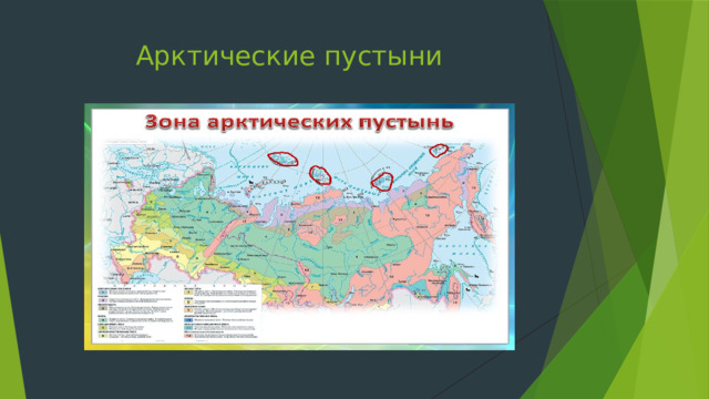 Арктические пустыни 