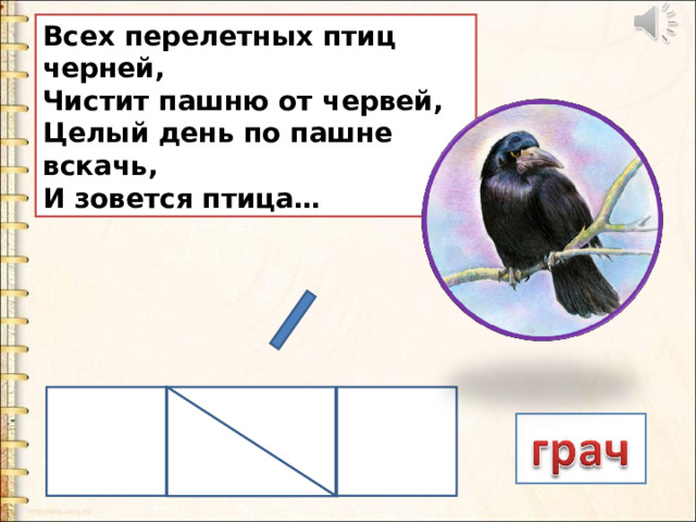 Всех перелетных птиц черней,  Чистит пашню от червей,  Целый день по пашне вскачь,  И зовется птица… 